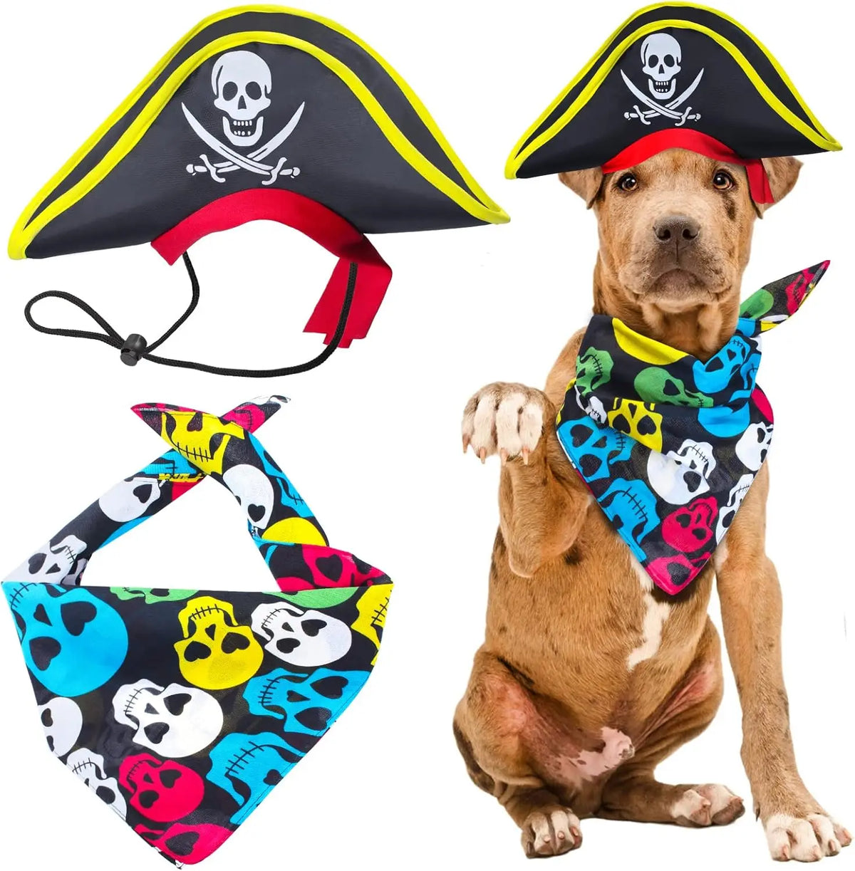 Pirate Hat with Pirate Skull Bandana Dog Cat