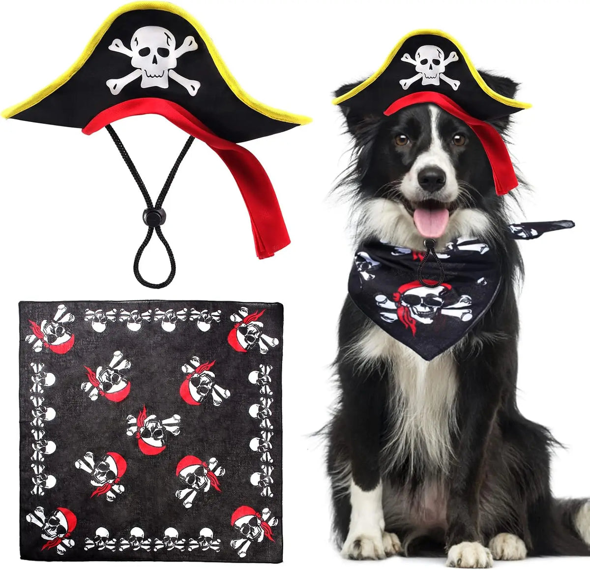 Pirate Hat with Pirate Skull Bandana Dog Cat
