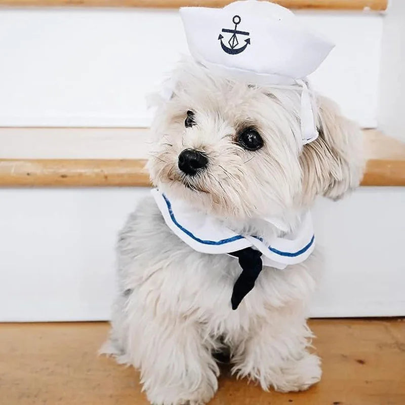 Funny Novelty Costumes for Cats and Small Dogs