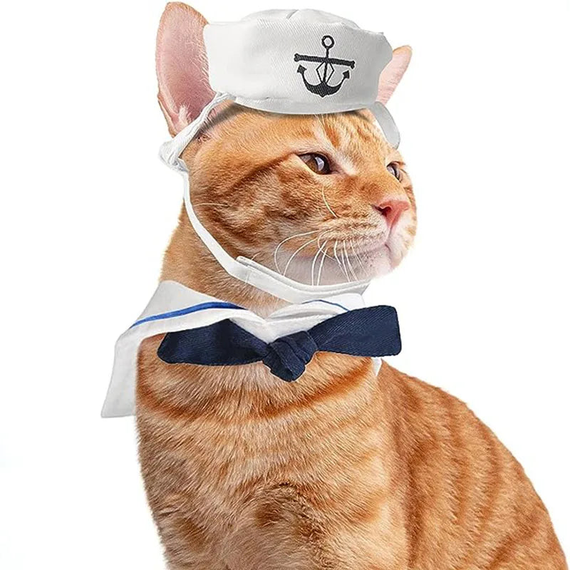 Funny Novelty Costumes for Cats and Small Dogs