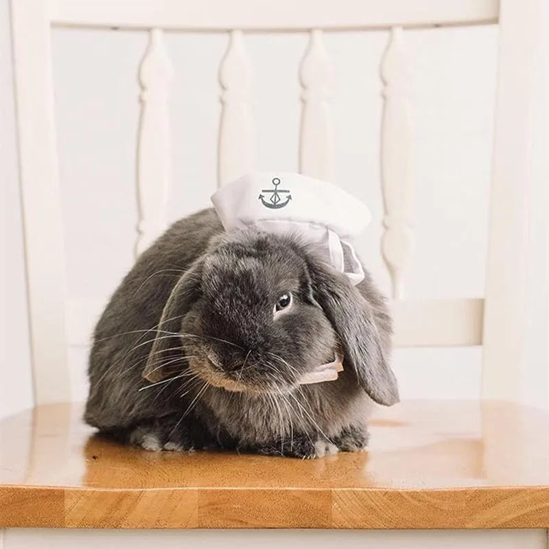 Funny Novelty Costumes for Cats and Small Dogs