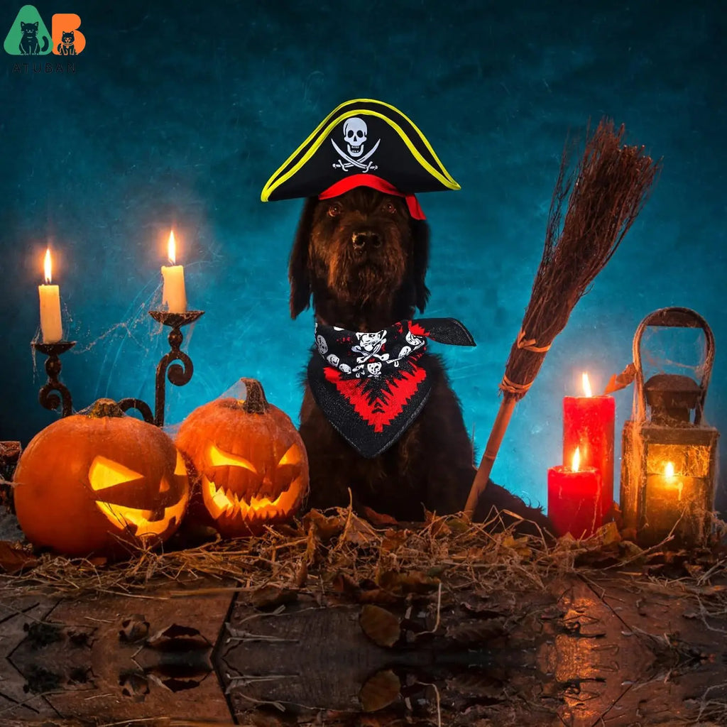 Pirate Hat with Pirate Skull Bandana Dog Cat